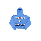 Holy Spirit University Hoodie - Holy Spirit Clothing Co.