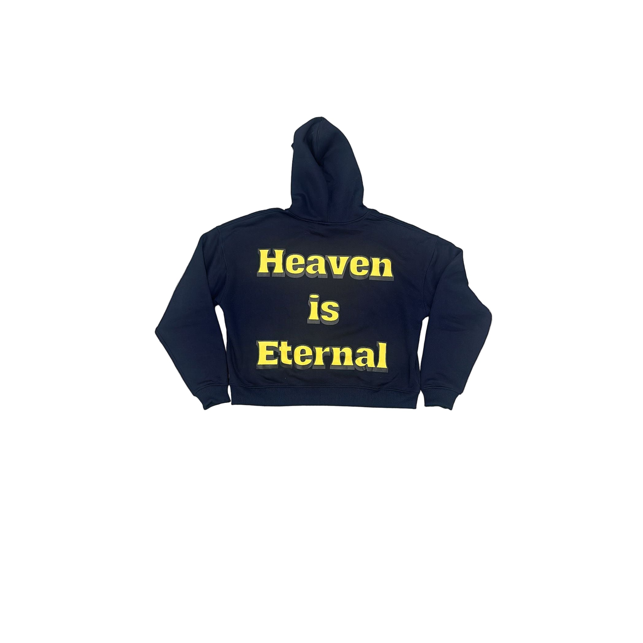 Holy Spirit University Hoodie - Holy Spirit Clothing Co.